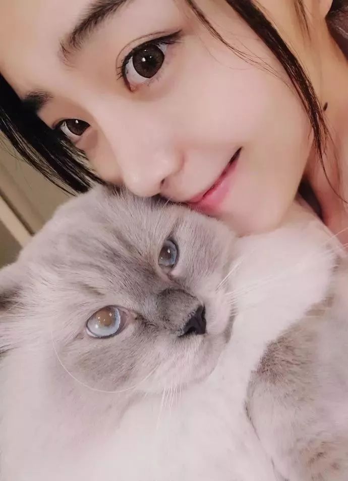 猫咪段子16mb图片