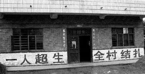 就像当年的计划生育一样,到底是多生孩子少养猪,还是少生孩子多种树?