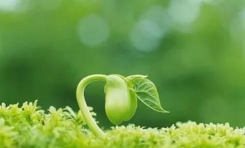 判缓刑是几年以下_判缓刑是刑罚吗_判3年缓刑2年是什么意思