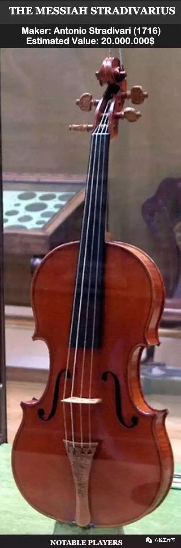 小提琴家钱汶简介_小提琴家钱舟演奏视频_小提琴价格一般多少钱一把