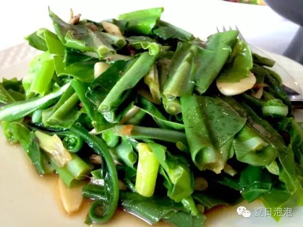 阿里山在哪里_我用尽一生去追求完美与智慧_类似用尽一生去爱的文