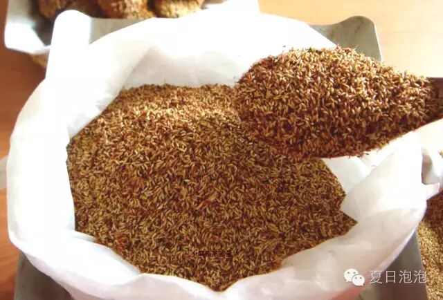 我用尽一生去追求完美与智慧_类似用尽一生去爱的文_阿里山在哪里