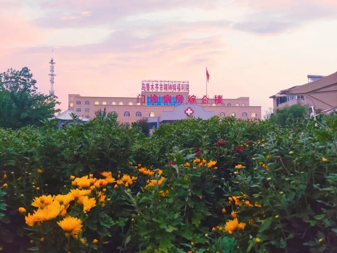 血疗仪治疗哪些病乌鲁木齐市精神病福利院（安宁医院、复员退伍军人精神病疗养院）简介_https://www.jmylbn.com_新闻资讯_第8张