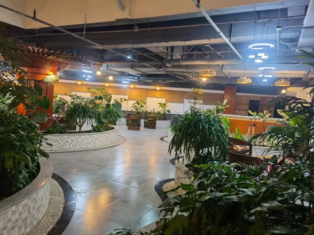 血疗仪治疗哪些病乌鲁木齐市精神病福利院（安宁医院、复员退伍军人精神病疗养院）简介_https://www.jmylbn.com_新闻资讯_第7张