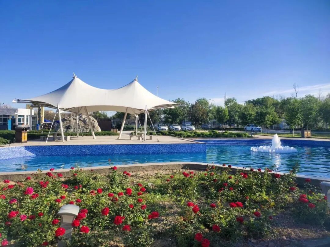 血疗仪治疗哪些病乌鲁木齐市精神病福利院（安宁医院、复员退伍军人精神病疗养院）简介_https://www.jmylbn.com_新闻资讯_第4张