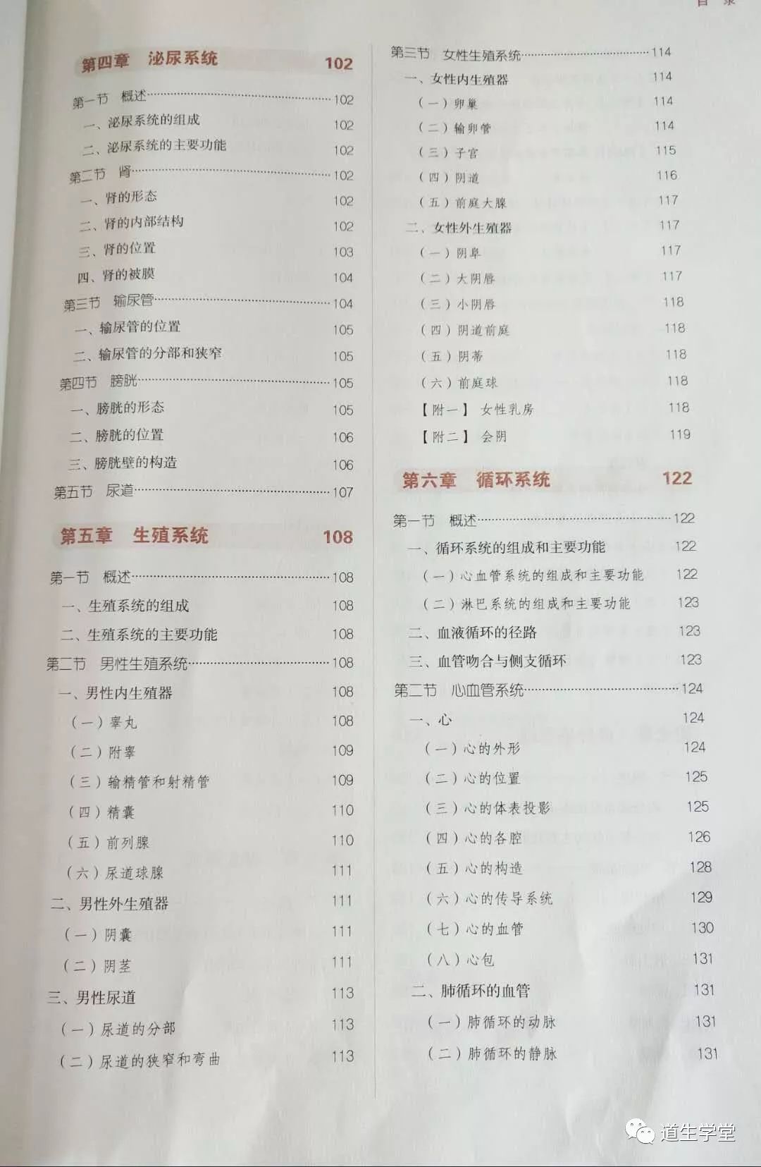 人体医学图片_医学人体解剖图_人体医学图片素材