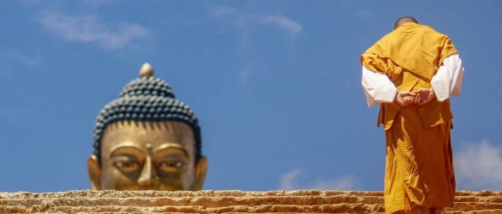 35岁，年入60万，我却从菊厂离职了！