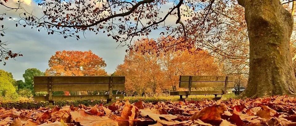 微软 687 亿美元收购动视暴雪、字节跳动回应裁撤投资业务、苹果接受台积电涨价丨T 资讯