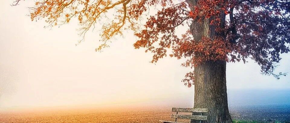 “超级英雄”把项目坑惨了！