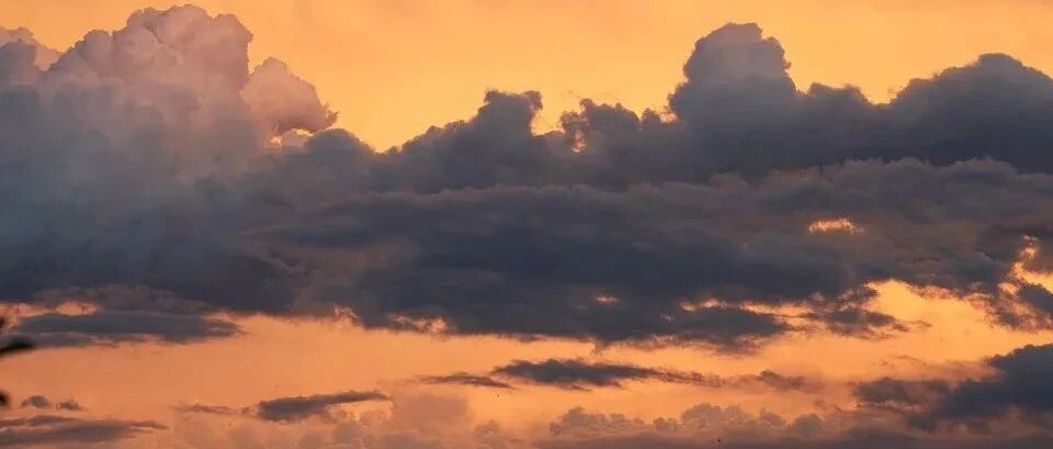 2022程序员跳槽必看指南！