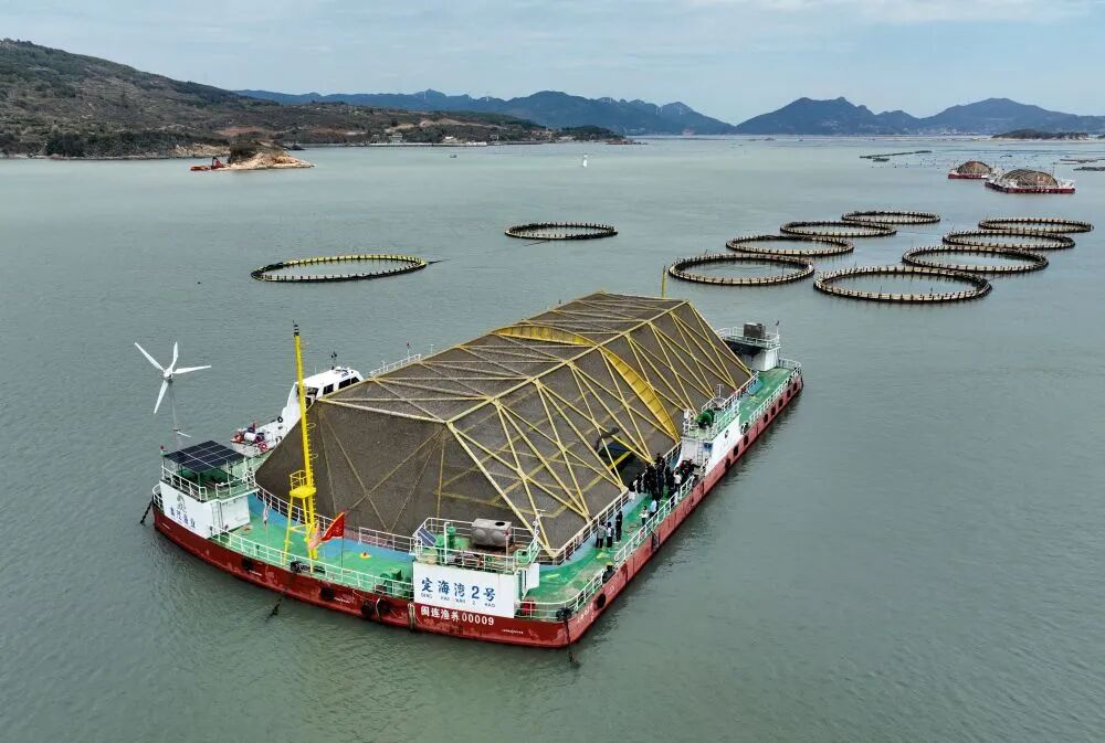 世界海洋日｜新华社关注：以高质量发展走好中国特色向海图强之路！