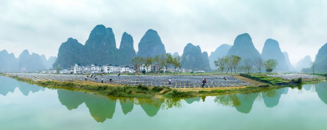 【乡村振兴】广西钟山:绿水青山植心间 水墨美景入画来