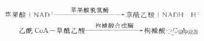 半自动生化仪怎么用《临床生物化学》​·第十九～二十章·临床生物化学分析仪的性能与应用·临床生物化学方法的选择、建立和评价_https://www.jmylbn.com_新闻资讯_第8张