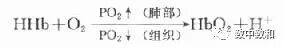 什么生物才有体液之称《临床生物化学》·第五章·体液平衡紊乱-上海聚慕医疗器械有限公司