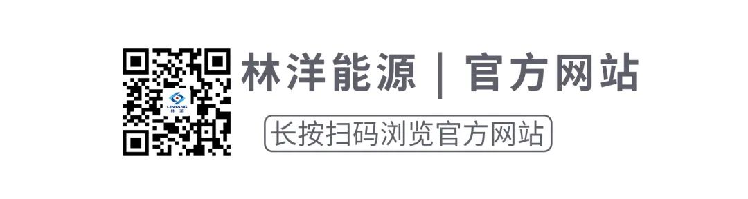 2024年04月23日 林洋能源股票