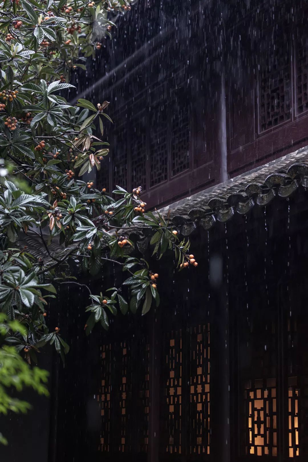 雨中的南京，太可了！ 旅遊 第40張