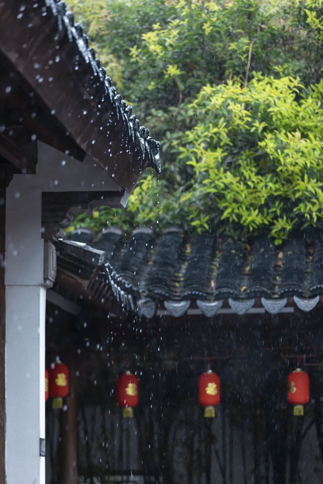 雨中的南京，太可了！ 旅遊 第50張