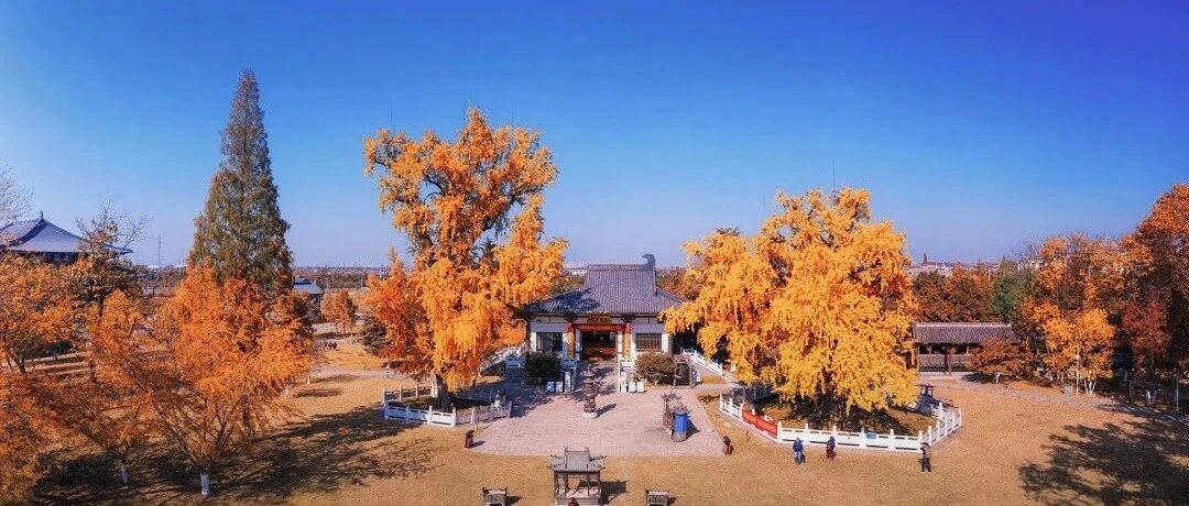 寻秋景、觅花香、品秋味…在浦口，关于秋天的念想都在这儿啦！