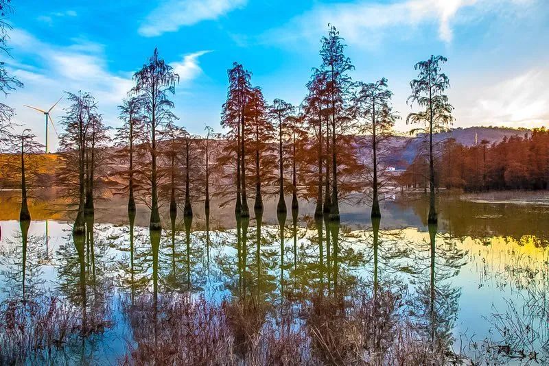 南京美麗鄉村，驚艷！ 旅遊 第30張