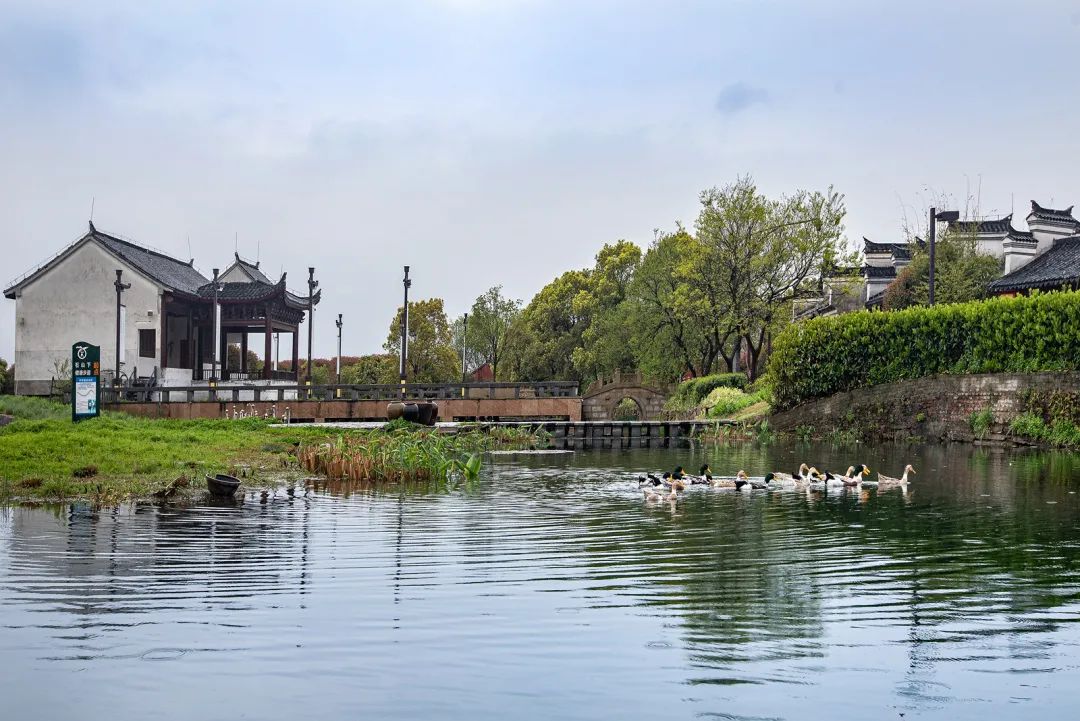 南京美麗鄉村，驚艷！ 旅遊 第17張