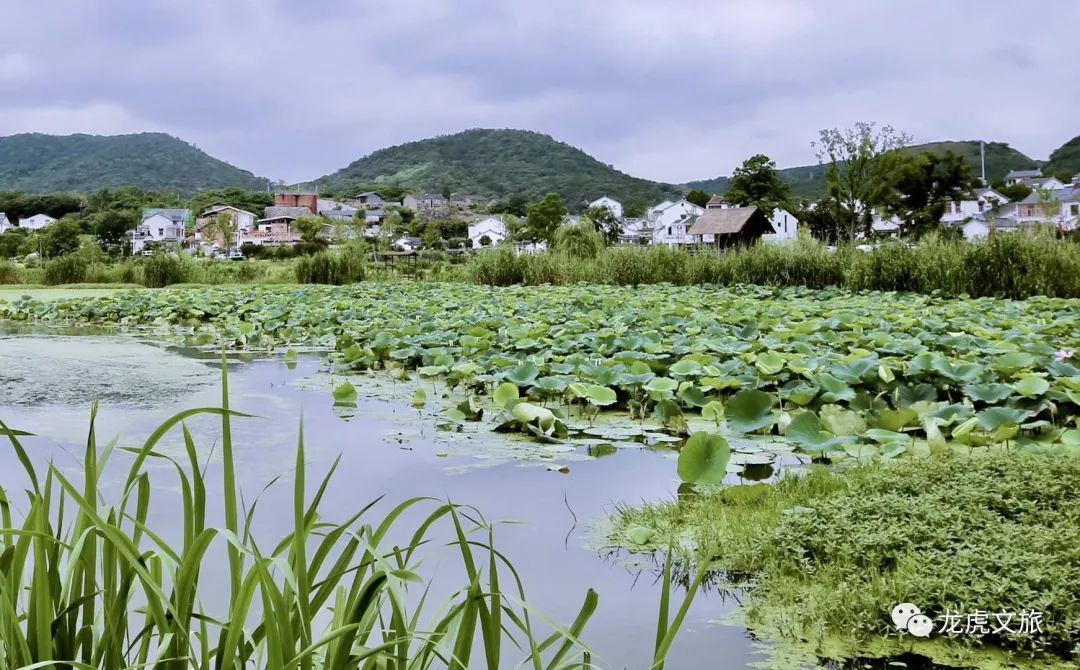 南京網紅「小川藏線」上的村落，美呆了！ 旅遊 第8張