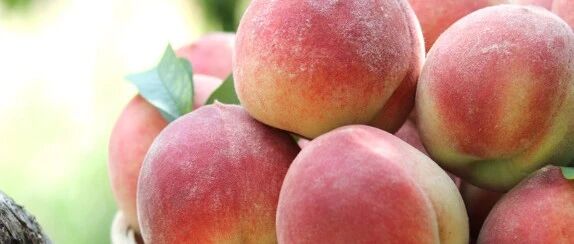 29.9元10斤秦王桃！水嫩香甜、清脆可口，吃一口让人欲罢不能！限时抢