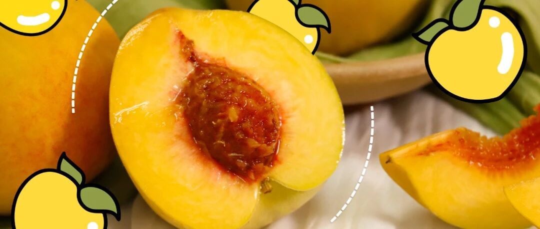 【今年最后一波】“国宴级锦绣黄桃”，脆爽弹牙，蜜甜多汁，一口便能爱上它