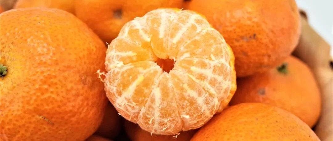 吃一口甜一年！萌萌哒广西百色砂糖橘，软嫩爆浆，3秒剥皮不脏手