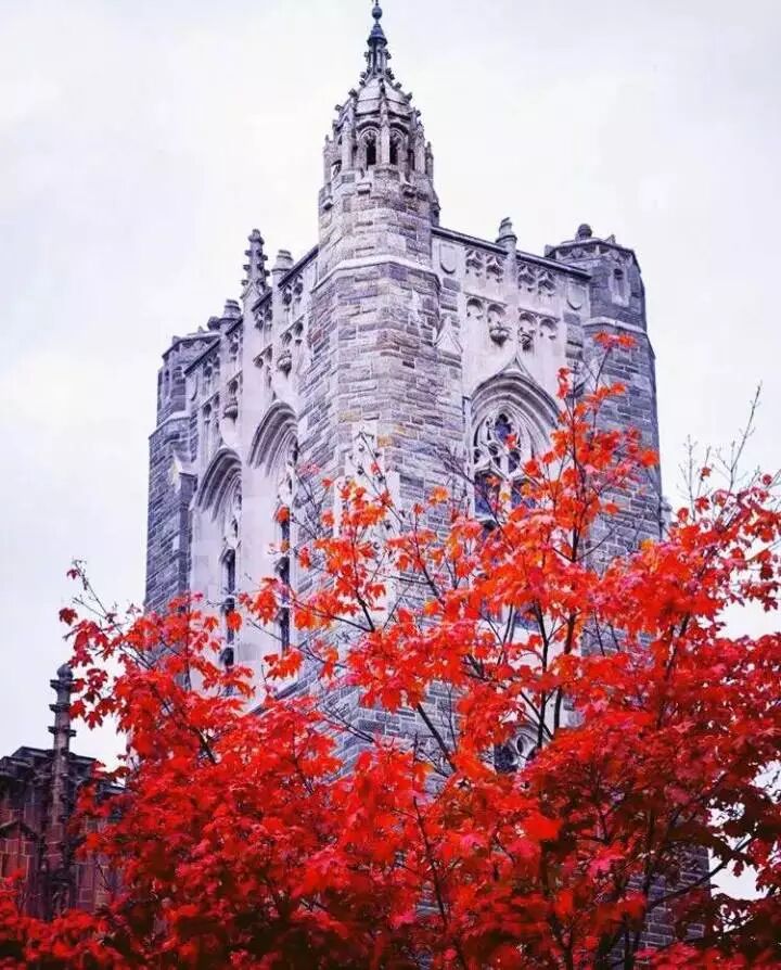 Princeton ReviewѻرѧԺTop50