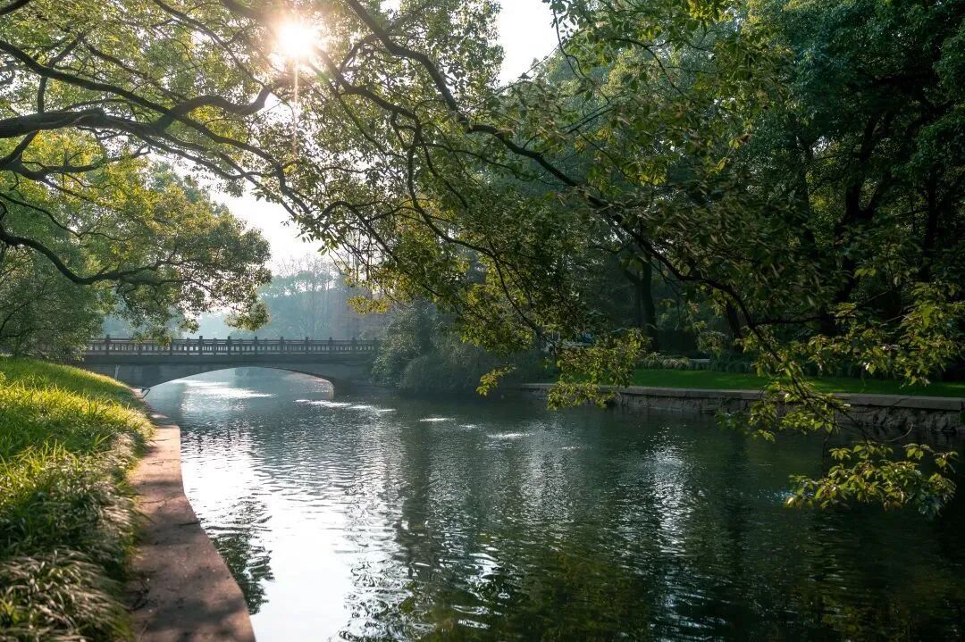 【预告】2024长三角度假医疗绿色健康高峰论坛—上海首长养疗团3天2夜（西郊国宾馆）