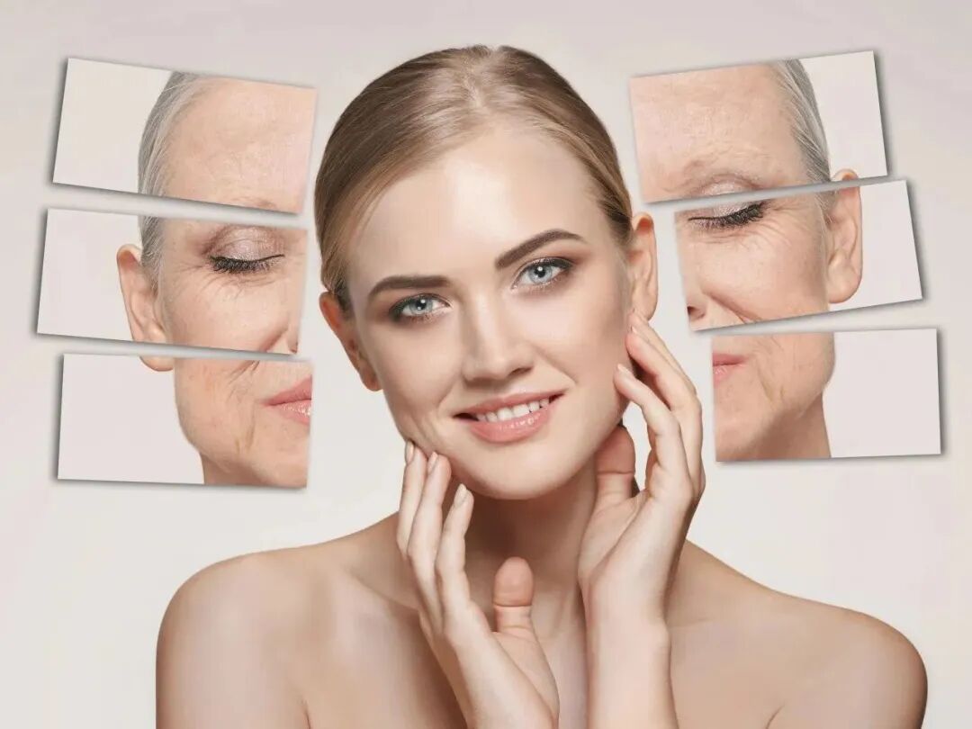 【预告】德国著名荷尔蒙专家埃尔珂·塞巴赫博士与您相约2023葆蒂兰国际集团会员嘉年华