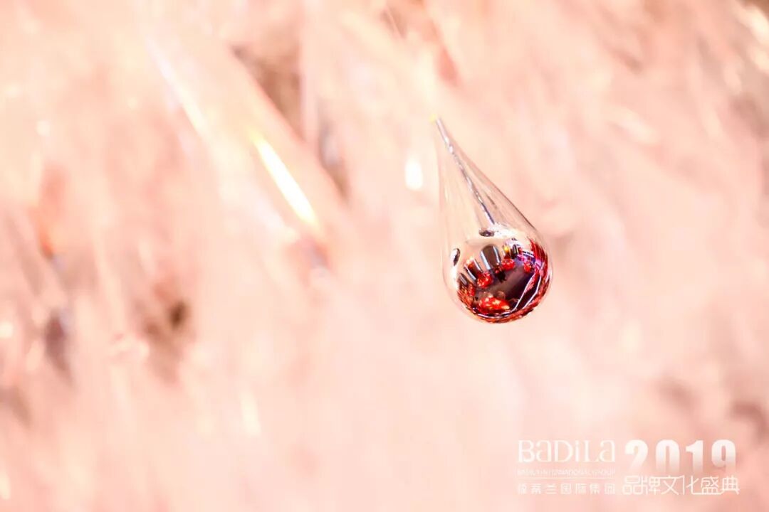 2019葆蒂兰国际品牌文化盛典，我们一切准备就绪，诚迎您的到来！