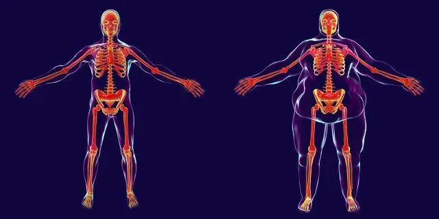 【预告】2024长三角度假医疗绿色健康高峰论坛—《代谢综合症与慢病管理》三甲医院知名专家论坛