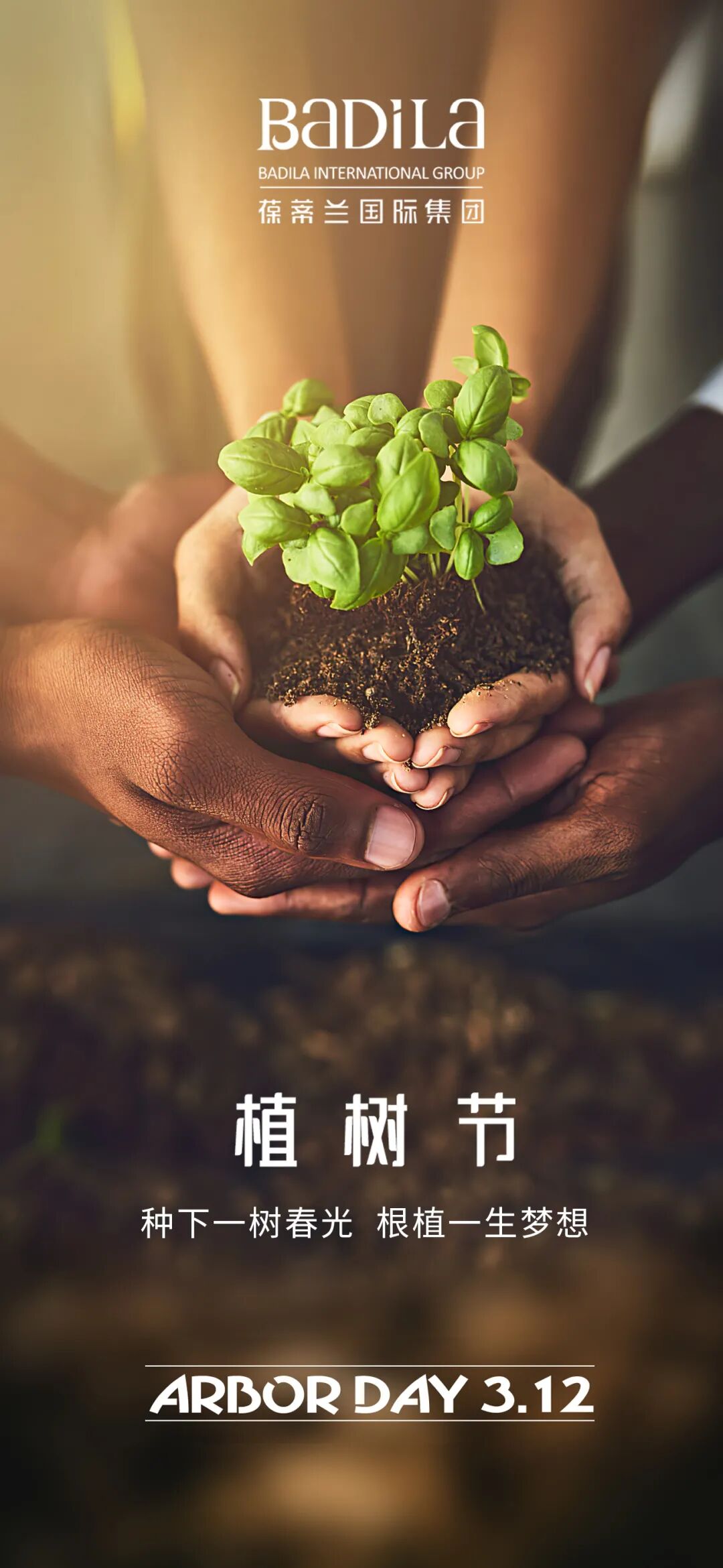 植树节：在梦想的土壤上，根植春天的希冀