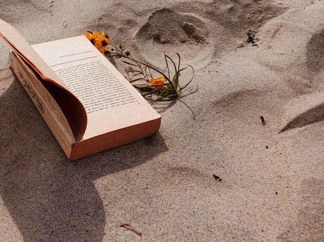 人生下半场最难得的四种 “力”