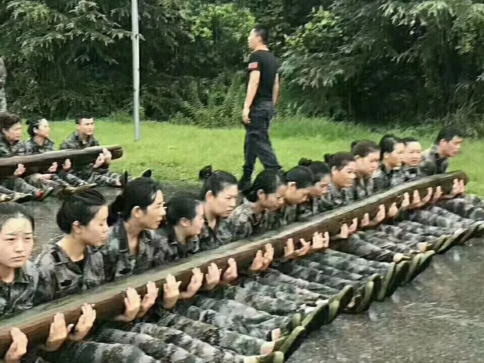 【人物志】万仁宾：每一次破茧成蝶的突破，只为起舞绽放的美丽！