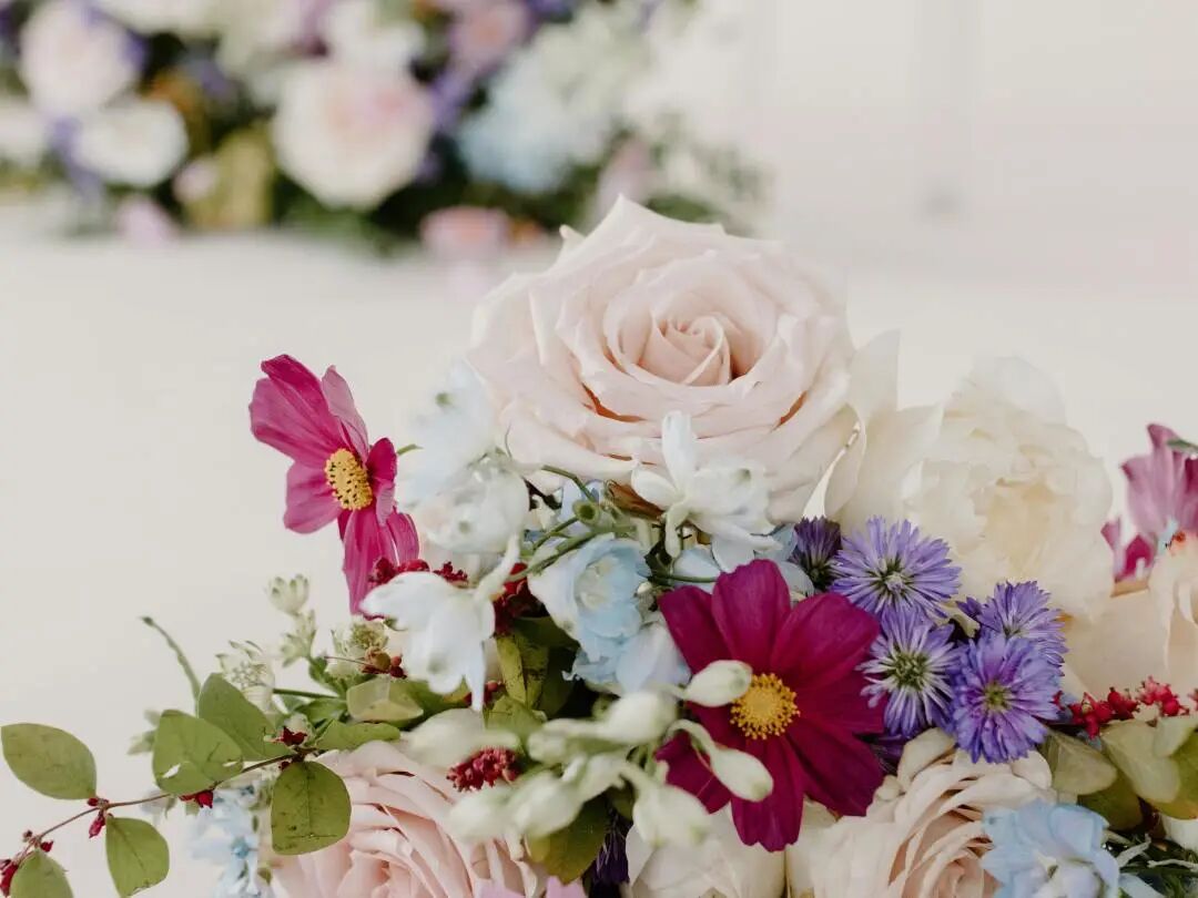 520 & 小满｜小得盈满，爱逢其时！