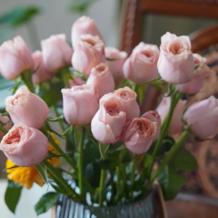 520 & 小满｜小得盈满，爱逢其时！