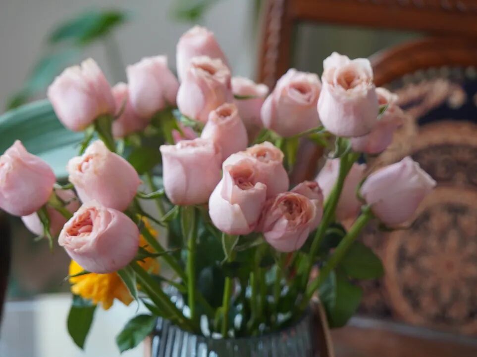 520 & 小满｜小得盈满，爱逢其时！