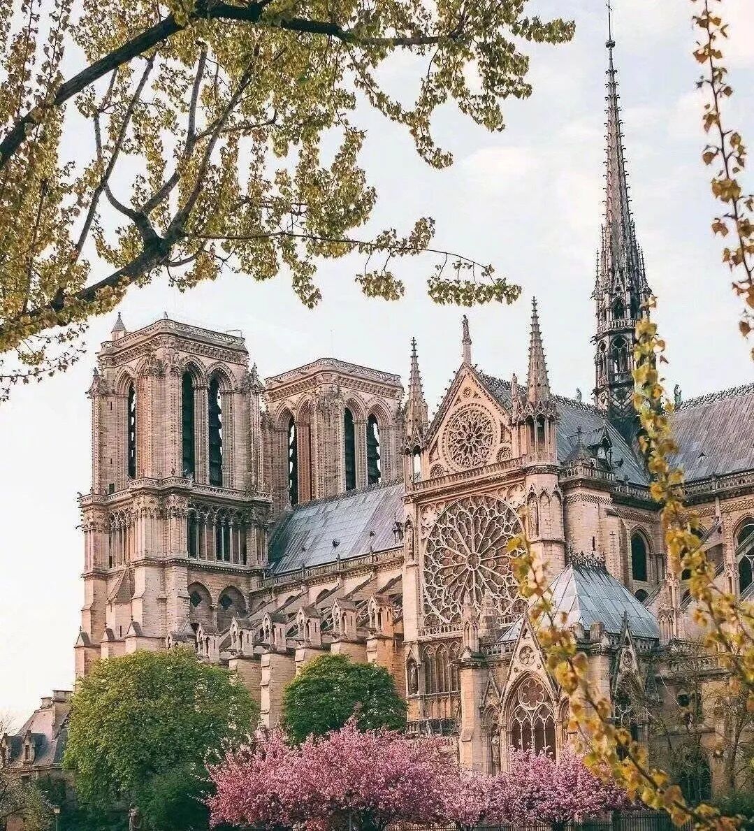 明之殇！巴黎圣母院突发大火，有些风景，一错过就成了永远！