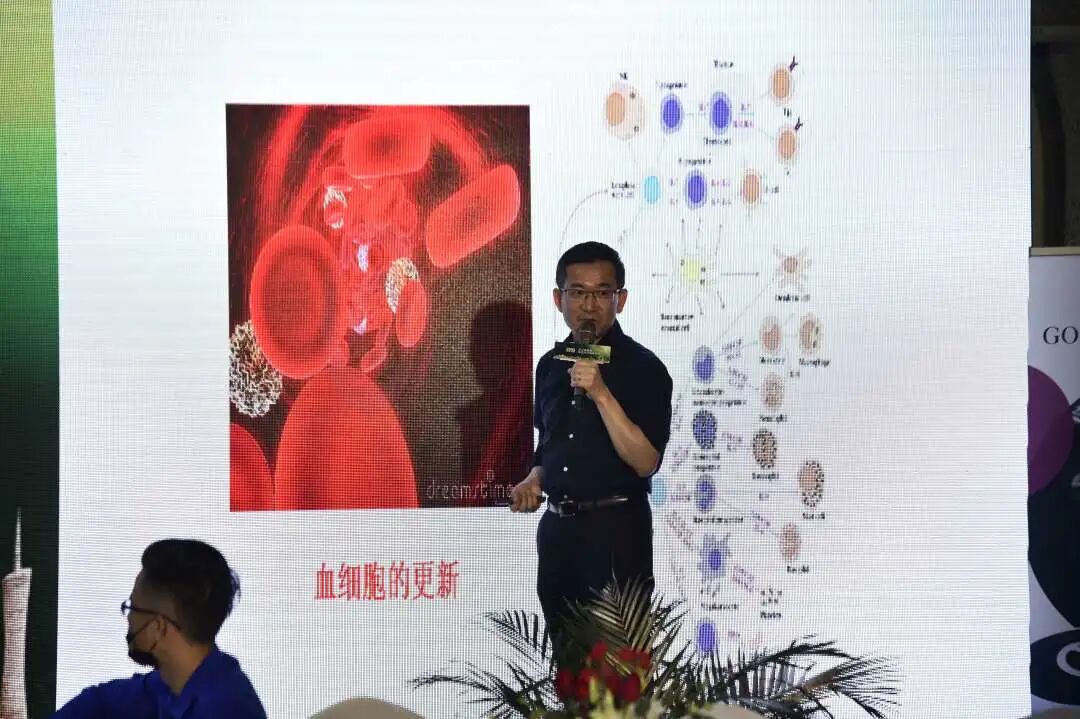 2020长三角度假医疗绿色健康高峰论坛正式开启！