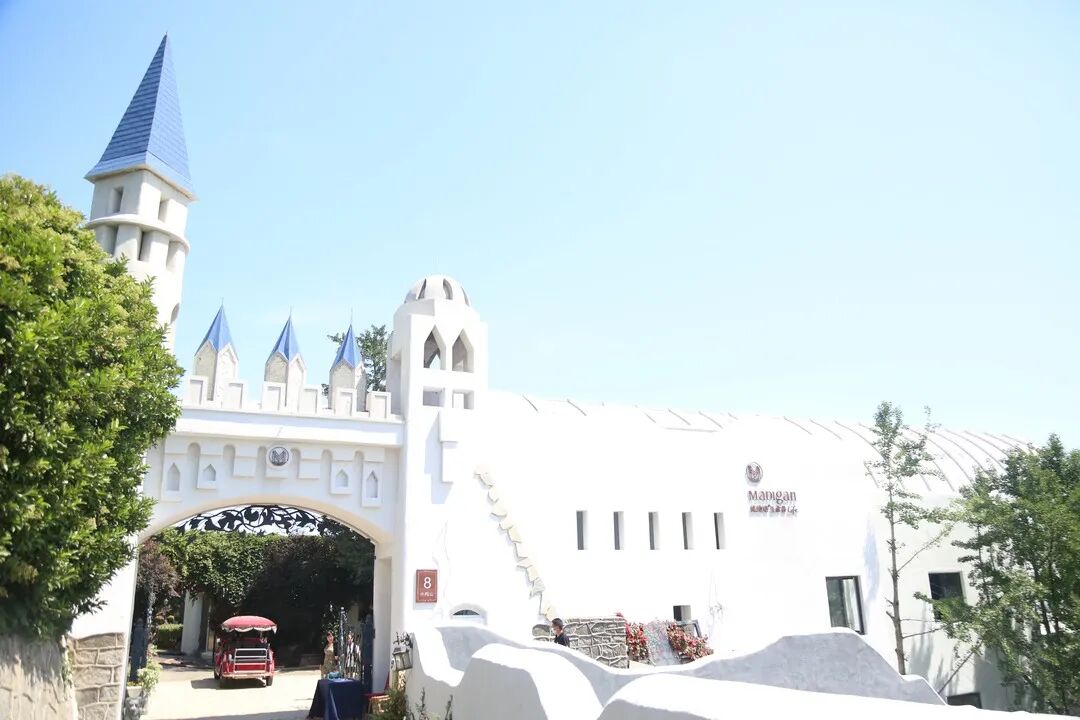 2020长三角度假医疗绿色健康高峰论坛正式开启！