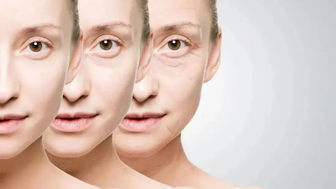 新品项“女王针”重磅发布—2023葆蒂兰国际集团会员嘉年华