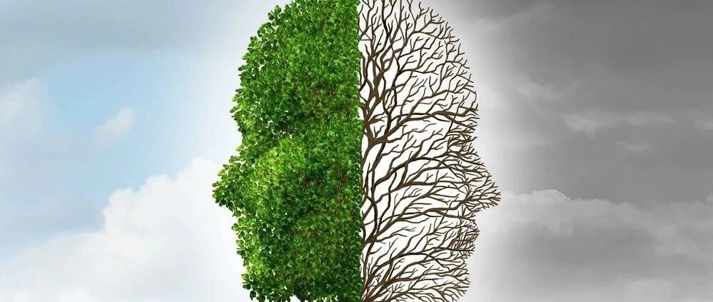 深度好文！舆论中心的八省联考和衡水中学，到底刺激了谁？