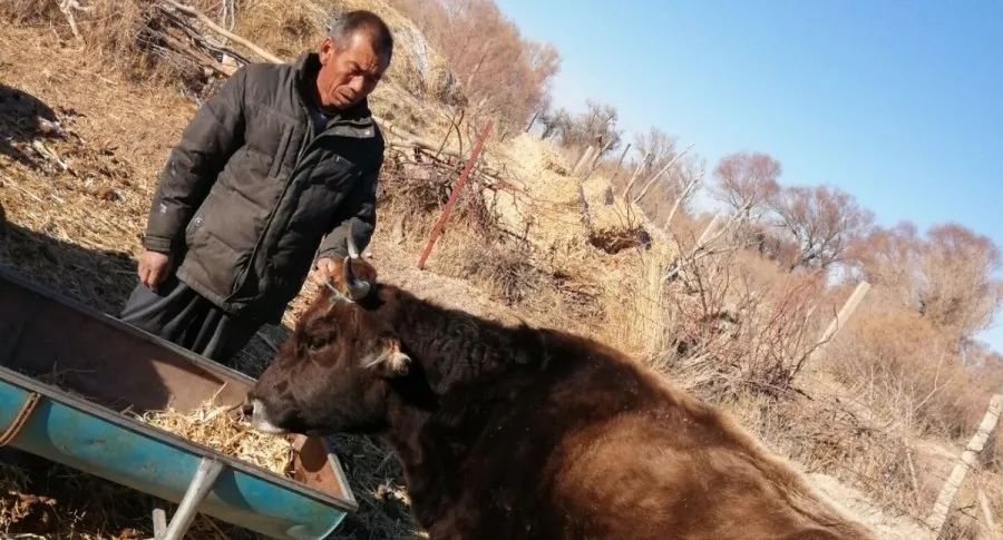 致富经牛_致富牛人_致富牛人李良华