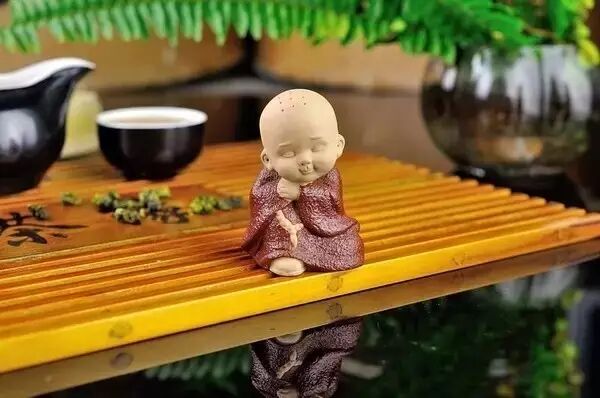 茶宠应该怎么养？