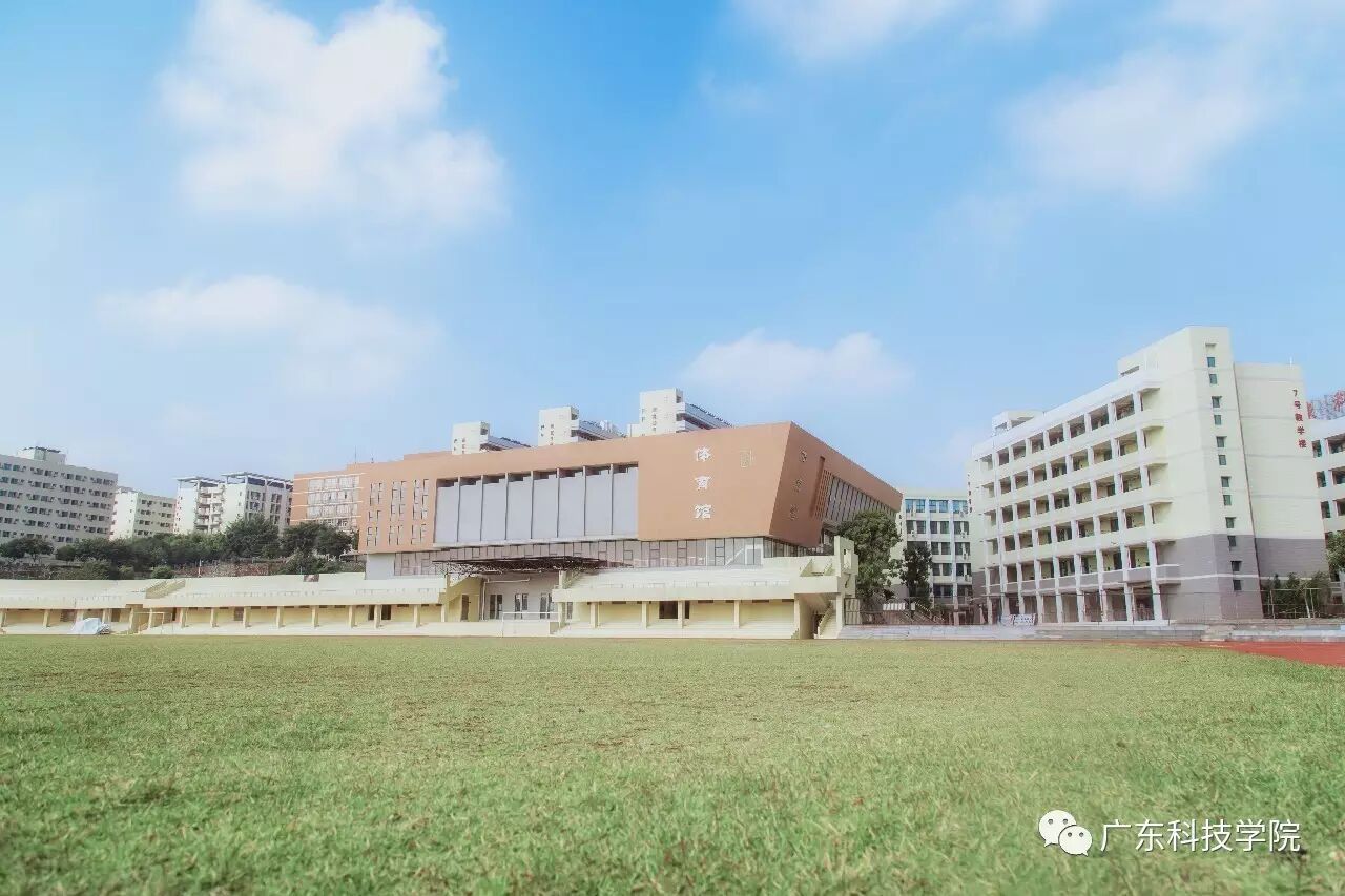 讲真广科我想你