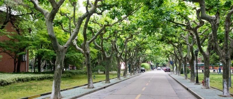 最新关注！安徽家有15-18岁的高中生注意了！与孩子的高考成绩息息相关！