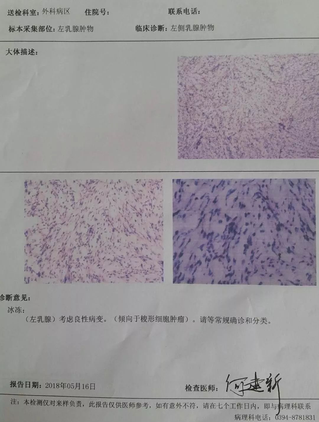 洋地黄 玄参科毛地黄属植物 搜狗百科