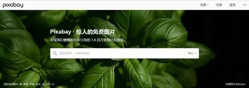 市场调研模块_市场调研模板_调研报告市场